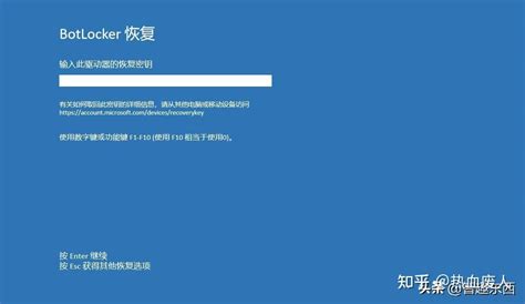 Windows11 Bitlocker 的图像结果