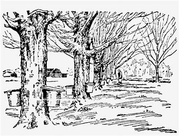 tutorial sketch action photoshop free download