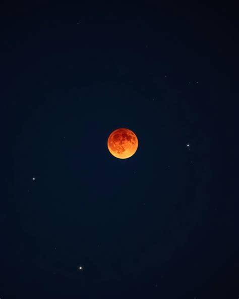 Photos+Of+Women+With+Red+Pubic+Hair Photos, Download The BEST Free ...