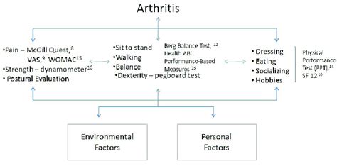 Image result for International Classification of Functioning Ans Disability Model