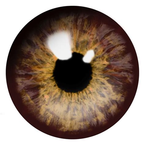 Eye PNG, Eye Transparent Background - FreeIconsPNG