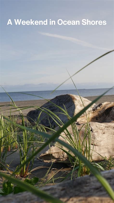 Seattle Flea Markets