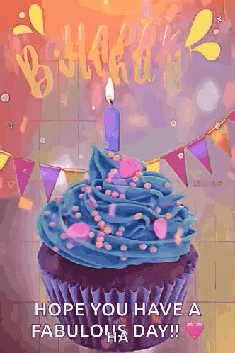 Occasion GIFs: Free Animated GIFs & Memes | Memes.co.in