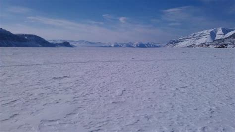 SVALBARD TREKKING - DAY TOURS (Longyearbyen) - What to Know Before You Go