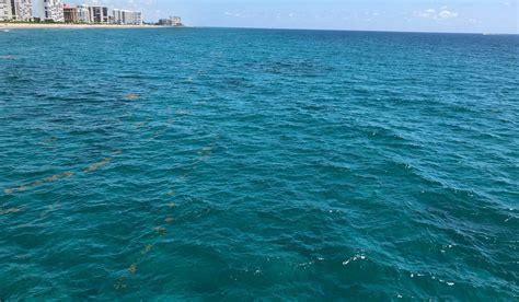 THE 15 BEST Things to Do in Deerfield Beach (2025)