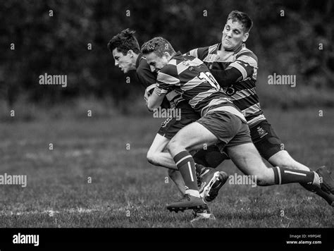 Rugby Football 的图像结果