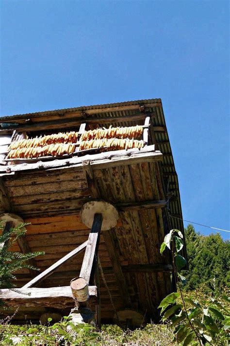 MACAHEL IREMIT PANSIYON (Artvin) - Cottage Reviews & Photos - Tripadvisor