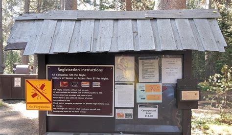 BRIDALVEIL CREEK CAMPGROUND (Yosemite National Park) - Campground ...