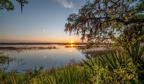 Culler-McAlhany Funeral Home|Funeral Cremation in North, SC