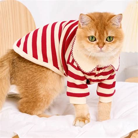 Striped Shirt for Cats & Kittens | Cat Clothes | MissyMoMo