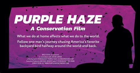 Purple Haze: A Conservation Film screening, Pilgrim Lutheran Church ...
