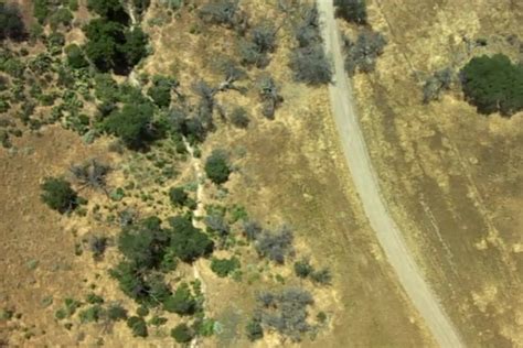 Image result for Image Stacking OpenCV