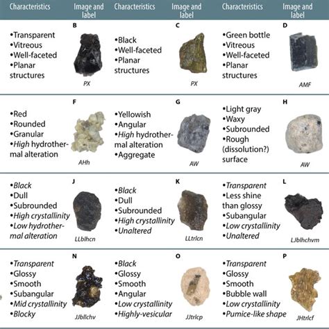 Particle Examples 的图像结果