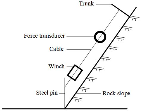 Influence of Super Absorbent Polymer on Root Characteristics and ...