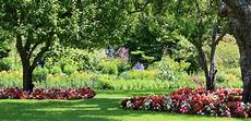 Plants Ruining Your Yard by 5 Ways To Ruin Your Yard Landscaping Around Trees Shade Plants Ruining Your Yard