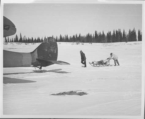 U.S. Fish and Wildlife Service Law Enforcement Agents Investigating ...