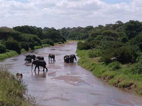 Angara Tours and Travel (Entebbe) - 2022 What to Know Before You Go ...