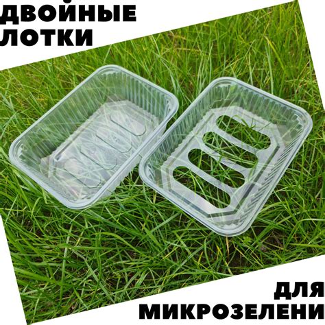 Лотки для микрозелени (двойные) / Контейнеры для проращивания семян ...