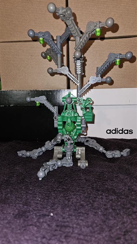 Image result for Maca Tree