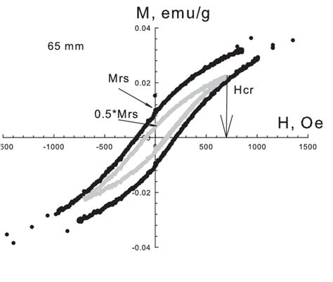 Magnetization 的图像结果