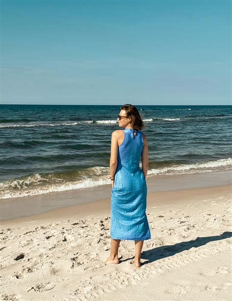 Marine Biologists Controversies Flowchart Photos, Download The BEST ...