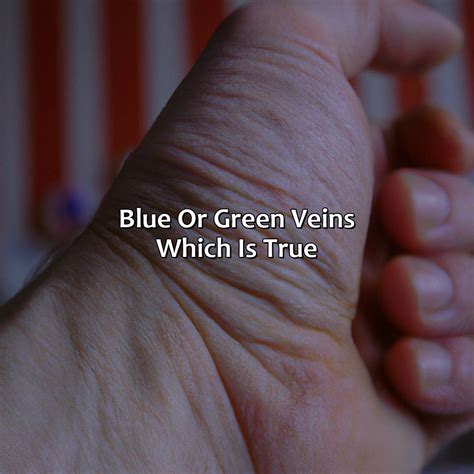 What Color Is Your Veins - colorscombo.com