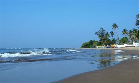 Morjim Tourism (2023): Best of Morjim, India - Tripadvisor