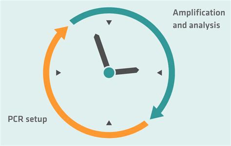 PCR Lab Setup 的图像结果
