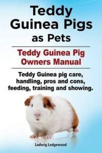 Teddy Guinea Pigs as Pets. Teddy Guinea Pig Owners Manual. Teddy Guinea ...