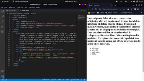 Image result for D3 Library JavaScript
