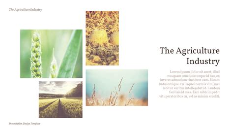 Agriculture Ppt Background 的图像结果