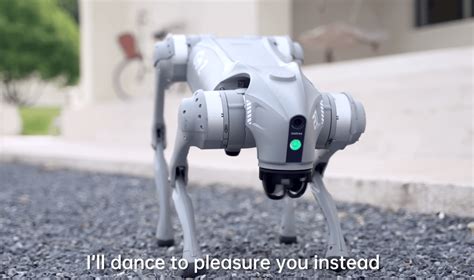Robot Dog 的图像结果
