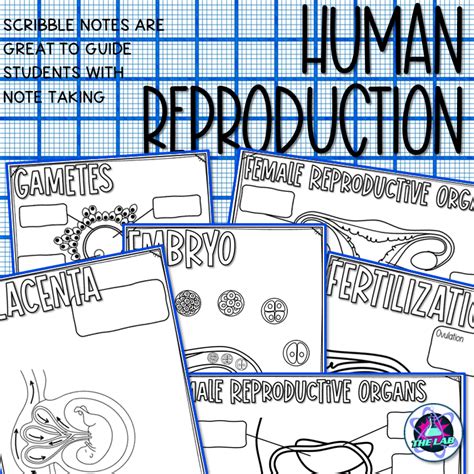 Image result for Isinamuva Human Reproduction Notes