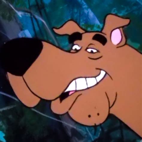 Scooby Doo Memes and Images