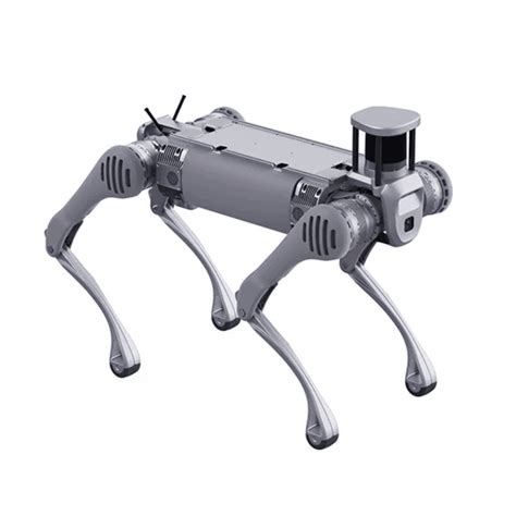 Unitree B2 Robot Dog with 3D LiDAR – Buy Now at Everse