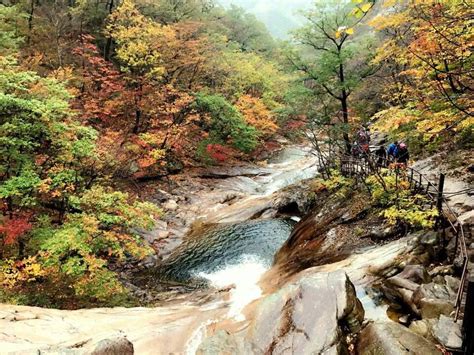 [Early Bird Special] 2025 Autumn Foliage｜Seoraksan National Park Day ...