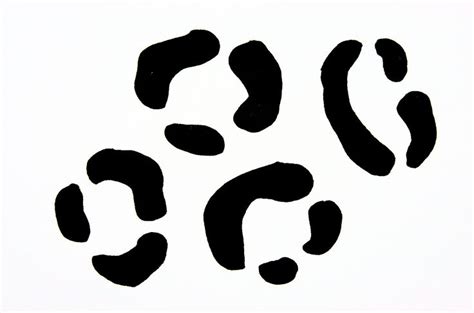 Image result for How to Draw Leopard Print