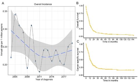 Epidemiology, prognostic factors, and survival analysis in small cell ...