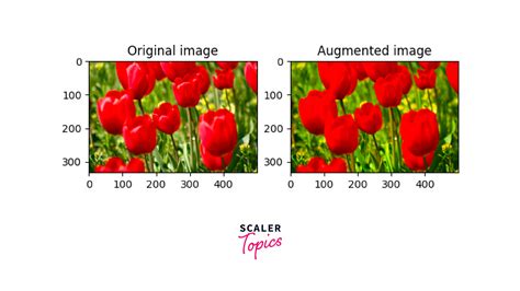 Image result for Data Augmentation Tensorflow