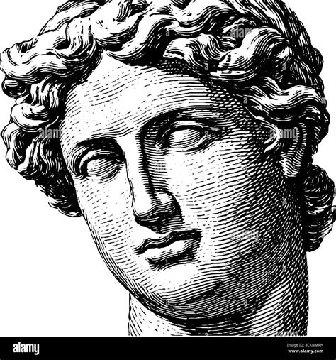 Engraved illustration of venus de milo head - classical art inspiration for design and decor ...