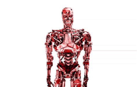 Image result for Terminator View