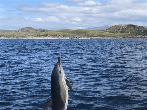 Best Campervan Hire Scotland | Four Seasons Campers