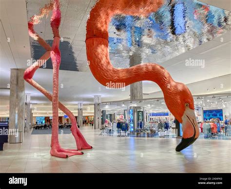 Tampa International Airport's giant pink flamingo statue "Phoebe ...