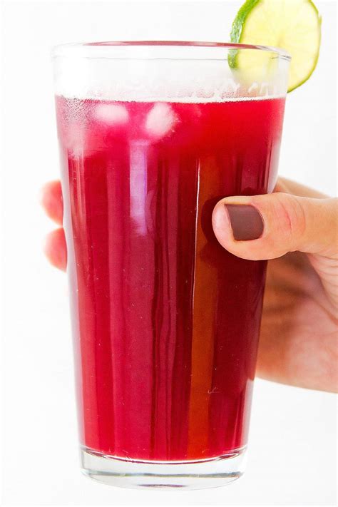 How to Make Prickly Pear Juice - Agua de Tuna » LeelaLicious