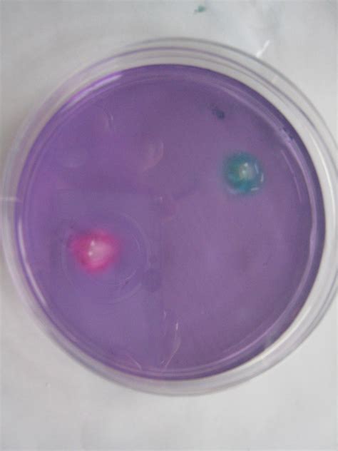 Image result for Diffusion Activity