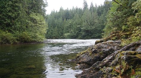 WC OCEANSIDE INN (Port Alice) - Hotel Reviews & Photos - Tripadvisor