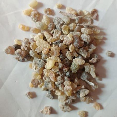 Dry guggal dhoop for Pooja (500G) : Amazon.in: Home & Kitchen