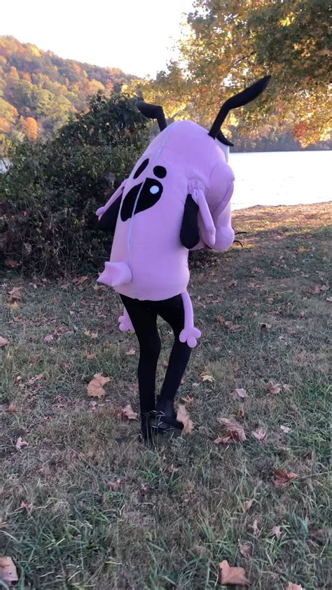 Courage The Cowardly Dog Halloween Costume