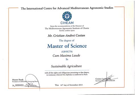 MSc. Degree Andrei Costan | PDF