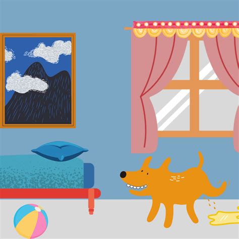 What Can I Spray on My Carpet to Stop My Dog From Peeing on It ...